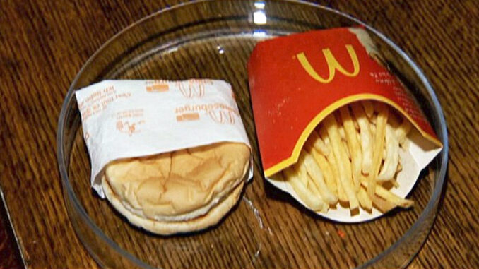 6-year-old McDonald's cheeseburger and fries