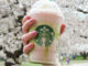 Starbucks launches new Cherry Blossom Frappuccino to celebrate spring