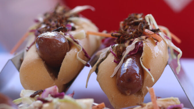 2016 CNE Menu Includes Bug Dogs, Beetle Juice and Pig Ear Sandwiches