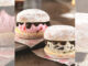 Baskin-Robbins Debuts New Donut Ice Cream Sandwiches