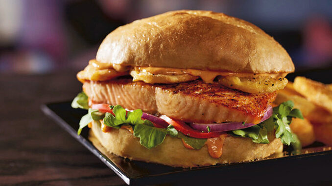 Red Robin Unveils New Harissa Salmon Burger And Sear-ious Salmon Entree