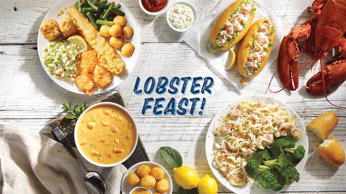 Captain D's Introduces New Lobster Feast Featuring New Creamy Lobster Scampi