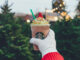 Starbucks Pours New Christmas Tree Frappuccino Through December 11, 2017