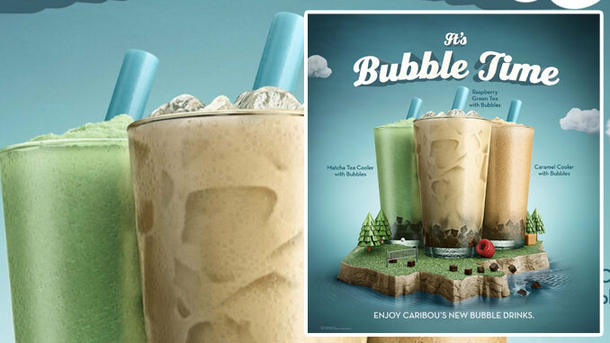 Caribou Coffee Pours New Line Of Bubble And Matcha Drinks