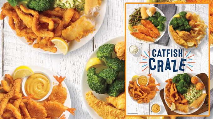 Captain D's Serves Up New Catfish Craze Menu Featuring New Catfish Meals
