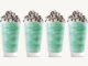 Arby’s Welcomes Back The Mint Chocolate Shake