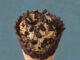Oreo 'n Caramel Ice Cream Is Baskin-Robbins’ Flavor Of The Month For April 2019