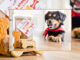 Del Taco Unveils New ‘Del Barko’ Dog Treats In Celebration Of National Dog Day