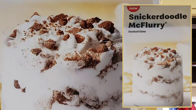 McDonald’s Spotted Selling New Snickerdoodle McFlurry