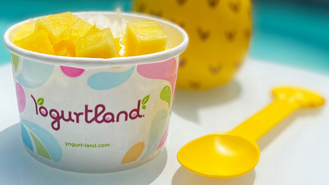 Yogurtland Introduces New Plant-Based Piña Colada Frozen Dessert