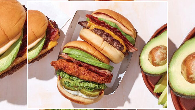 Shake Shack Launches New Avocado Bacon Burger And New Avocado Bacon Chicken Sandwich
