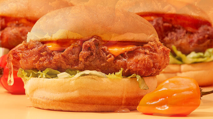 Shake Shack Introduces New Hot Honey Chicken Sandwich, Hot Honey Chicken Bites And Hot Honey Fries