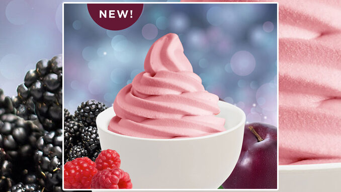 Yogurtland Introduces New Sugar Plum Berry Tart Flavor