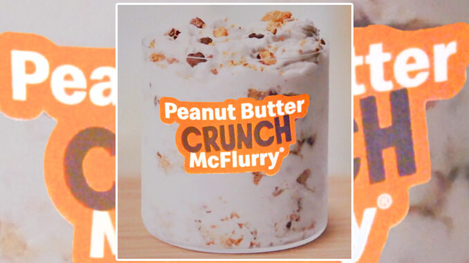 New Peanut Butter Crunch McFlurry Spotted At McDonald’s