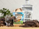 Ben & Jerry's Welcomes Back Dublin Mudslide With A New Twist
