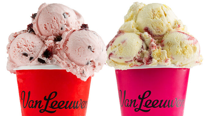 Van Leeuwen Launches New Raspberry Layer Cake And Black Cherry Chip Ice Cream Flavors In Grocery Stores