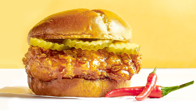 Chester's Chicken Launches Honey Stung Chicken Sandwich And Bites Nationwide