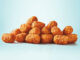 Sonic Introduces New BBQ Chip Seasoned Tots