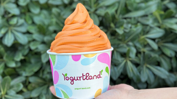Yogurtland Introduces New Thai Tea Frozen Yogurt Alongside Returning Boba Milk Tea Flavor