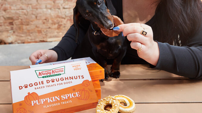 Krispy Kreme Launches First-Ever Pup’kin Spice Doggie Doughnuts