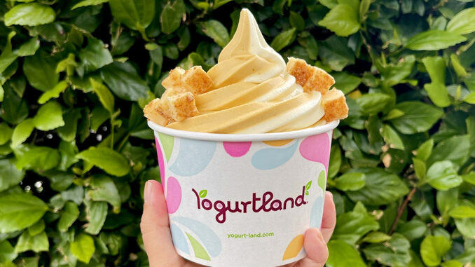 Yogurtland Brings Back Pumpkin Pie Cheesecake Swirl For Fall 2023