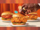 Popeyes Launches New Spicy TRUFF Chicken Sandwich